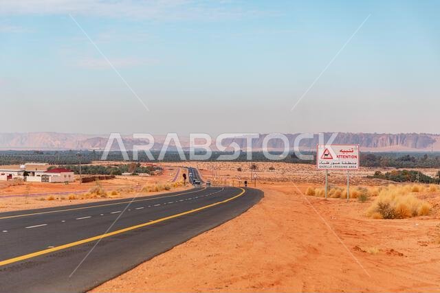 A remote desert road winds through a dry, sandy plain toward distant mountains. A warning sign alerts drivers to gazelle crossings, capturing calm, wi