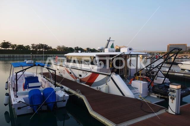 قوارب حكومية في المرسى، بما في ذلك سفينة الأبحاث والامتثال التابعة للمركز الوطني للحياة البرية، مدينة الملك عبد الله الاقتصادية، المملكة العربية السعودية