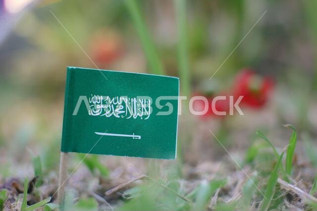 Embroidered Saudi Arabia flag on green forest grass with soft sunlight, symbolizing the Saudi Green Initiative and sustainability. Embroidered Saudi Arabia flag on green forest grass with soft sunlight, symbolizing the Saudi Green Initiative and sustainability.