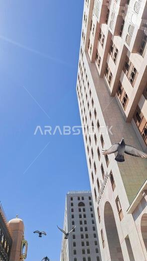 المدينة المنورة، المملكة العربية السعودية - 7 مارس 2024: حمام يحلق حول مبنى بالقرب من المسجد النبوي