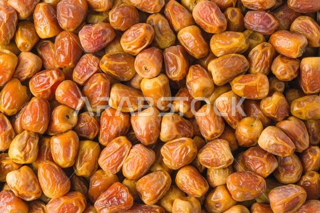 صورة مقربة لتمور سعودية طازجة (صنف البرحي والسكري)