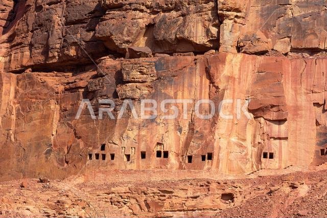 غرف دفن مربعة قديمة منحوتة في أعالي منحدرات الحجر الرملي الأحمر، تحرسها منحوتات أسود بارزة في دادان بالقرب من العلا، المملكة العربية السعودية