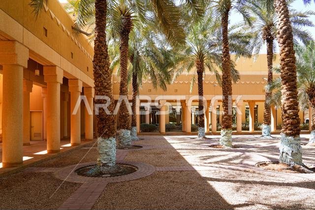 Lush palm trees in the gardens of Murabba Historical Palace in Riyadh, Saudi Arabia