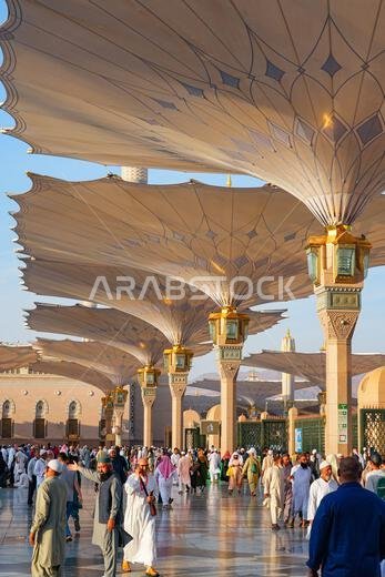 Giant retractable umbrellas at the Prophet's Mosque (Al-Masjid an-Nabawi) in Medina, Saudi Arabia