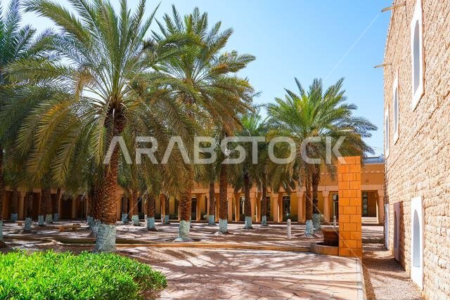 أشجار النخيل الوارفة في حدائق قصر المربع التاريخي في الرياض، المملكة العربية السعودية