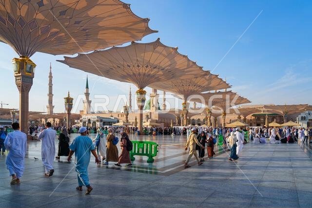 Giant retractable umbrellas at the Prophet's Mosque (Al-Masjid an-Nabawi) in Medina, Saudi Arabia