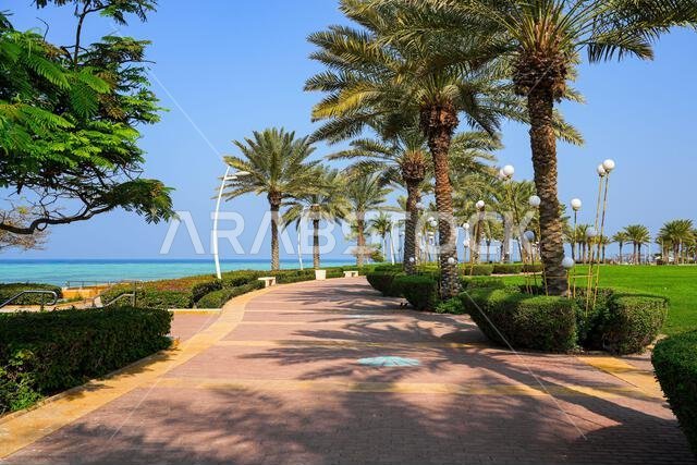 Scenic waterfront promenade with palm trees on the Red Sea coast in King Abdullah Economic City (KAEC), Saudi Arabia Scenic waterfront promenade with palm trees on the Red Sea coast in King Abdullah Economic City (KAEC), Saudi Arabia