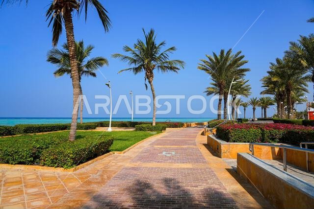 Scenic waterfront promenade with palm trees on the Red Sea coast in King Abdullah Economic City (KAEC), Saudi Arabia