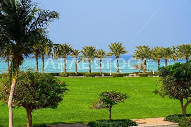 Immaculate green lawn and palm trees along the Red Sea coast in King Abdullah Economic City (KAEC), Saudi Arabia