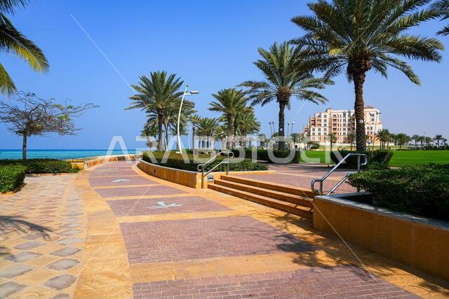 Scenic waterfront promenade with palm trees on the Red Sea coast in King Abdullah Economic City (KAEC), Saudi Arabia