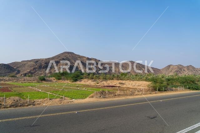 jeddah riyadh highway road, mountain road.