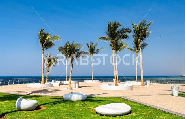 Scenic view of palm trees and modern stone benches along the Roshn Waterfront walkway by the Red Sea in Jeddah, Saudi Arabia.