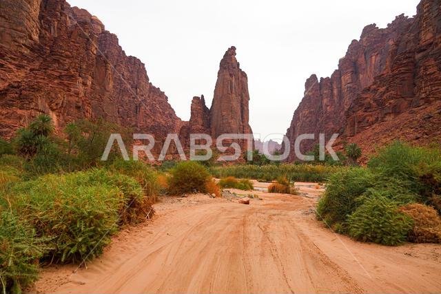 مسارات وعرة عبر وادي الديسة الرملي المذهل بالقرب من تبوك في المملكة العربية السعودية