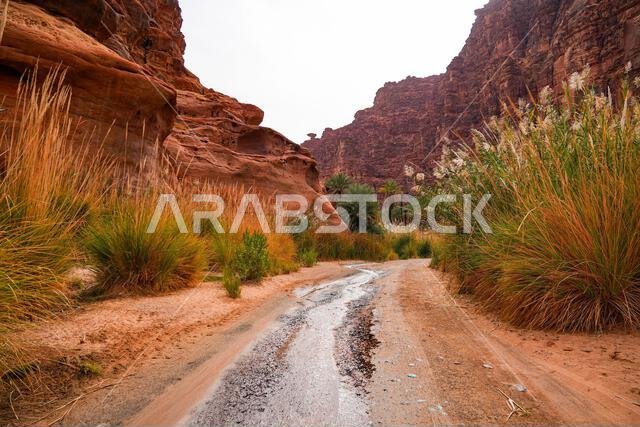 جبال الحجر الرملي المهيبة في وادي الديسة بالقرب من تبوك في المملكة العربية السعودية