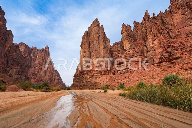 Dramatic sandstone cliffs and water stream in the Wadi Al Disah canyon near Tabuk in Saudi Arabia