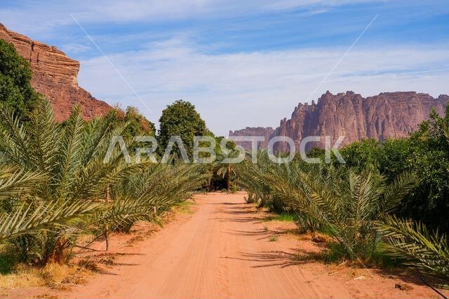 The majestic sandstone mountains of Wadi Al Disah near Tabuk in Saudi Arabia