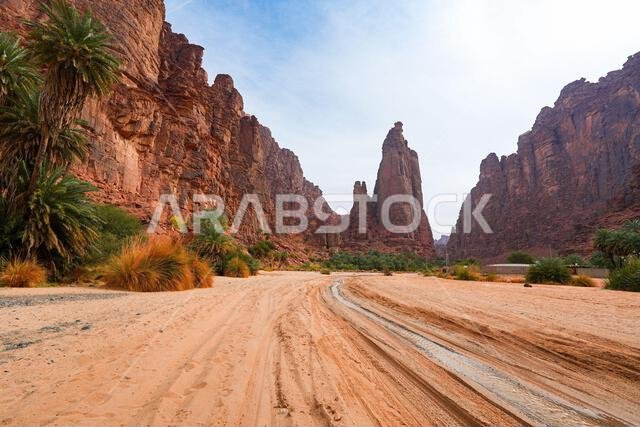 The majestic sandstone mountains of Wadi Al Disah near Tabuk in Saudi Arabia