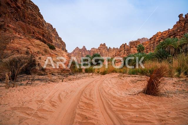 Off-road tracks through the spectacular sandstone canyon of Wadi Al Disah near Tabuk in Saudi Arabia
