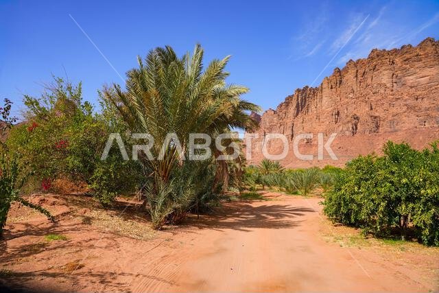 جبال الحجر الرملي المهيبة في وادي الديسة بالقرب من تبوك في المملكة العربية السعودية