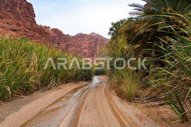 مسارات وعرة عبر وادي الديسة الرملي المذهل بالقرب من تبوك في المملكة العربية السعودية