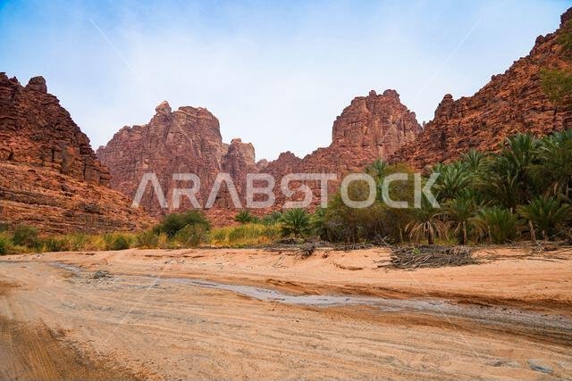 The majestic sandstone mountains of Wadi Al Disah near Tabuk in Saudi Arabia