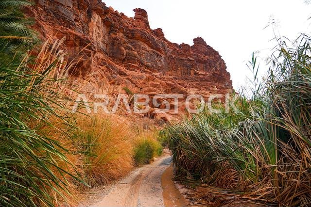 The majestic sandstone mountains of Wadi Al Disah near Tabuk in Saudi Arabia