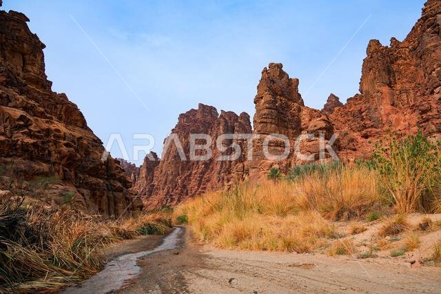 Dramatic sandstone cliffs and water stream in the Wadi Al Disah canyon near Tabuk in Saudi Arabia