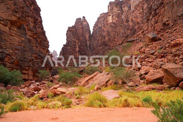 The majestic sandstone mountains of Wadi Al Disah near Tabuk in Saudi Arabia