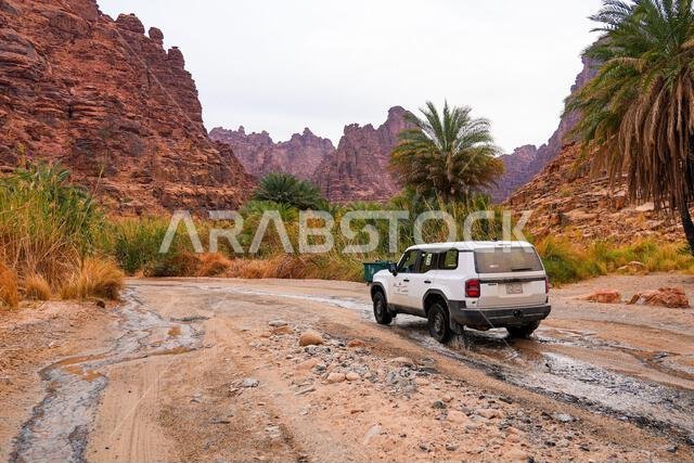 سيارة دفع رباعي حديثة تعبر مجرى مائياً في وادي الديسة المهيب بالقرب من تبوك في المملكة العربية السعودية