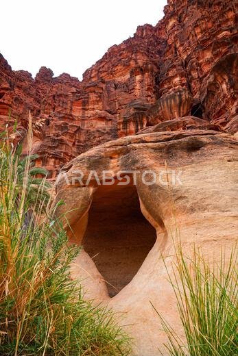 Unique sandstone rock formations and desert shrub in Wadi Al Disah near Tabuk in Saudi Arabia