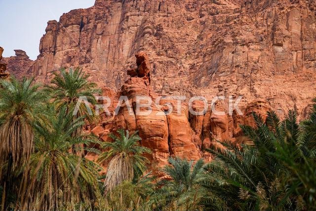 The majestic sandstone mountains of Wadi Al Disah near Tabuk in Saudi Arabia