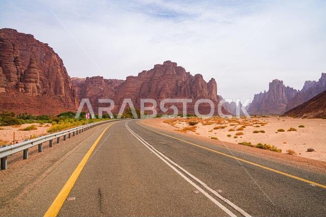 Modern asphalt road winding through the majestic sandstone cliffs of Wadi Al Disah near Tabuk in Saudi Arabia