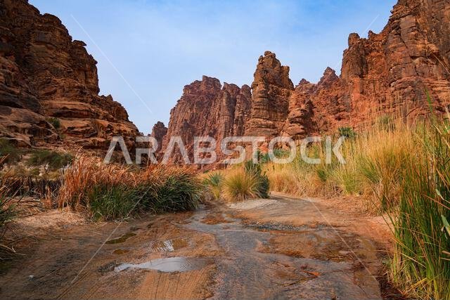 Dramatic sandstone cliffs and water stream in the Wadi Al Disah canyon near Tabuk in Saudi Arabia