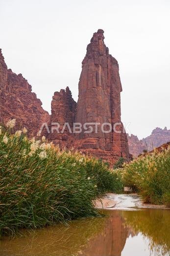 Towering sandstone spire reflected in the stream of Wadi Al Disah oasis near Tabuk in Saudi Arabia