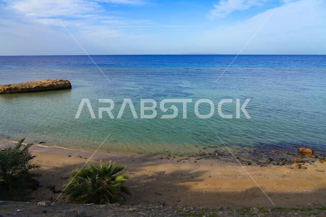 Pristine turquoise waters and palm trees on the coast of Umluj in the Red Sea, Saudi Arabia