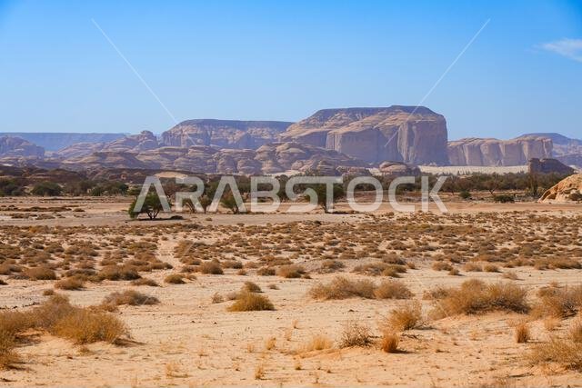 Vast desert landscape and sandstone formations in AlUla, Saudi Arabia