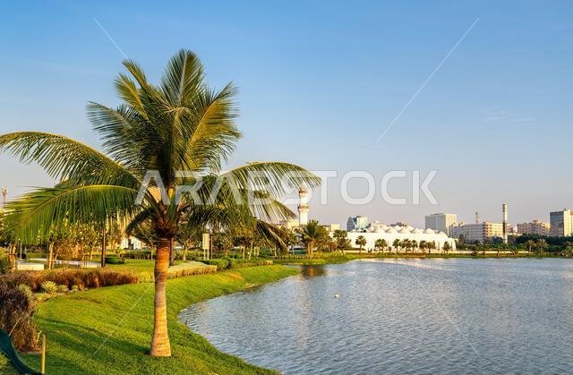 منظر خلاب لمسجد الجفالي وشجرة نخيل تنعكس في بحيرة الأربعين عند غروب الشمس في جدة، المملكة العربية السعودية.