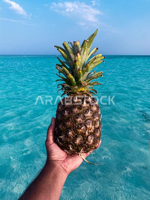 صوره مقربه ليد رجل يحمل حبة من فاكهة الأناناس, خلفية مياه البحر الزرقاء, تناول الفاكهه على شاطئ البحر, إجازه صيفيه