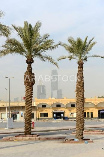 أُغلق سوق السمك شمال الرياض تمهيداً لتطويره عمرانياً. الرياض، المملكة العربية السعودية.