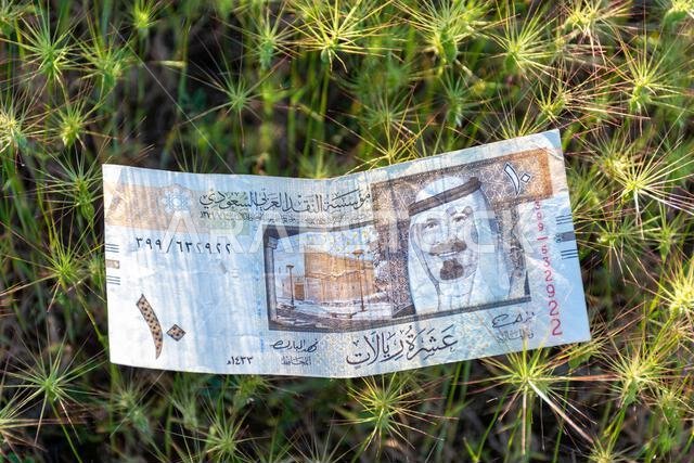 ورقة نقدية سعودية من فئة عشرة ريالات ملقاة على عشب أخضر شائك في الهواء الطلق. ورقة نقدية سعودية من فئة عشرة ريالات ملقاة على عشب أخضر شائك في الهواء الطلق.