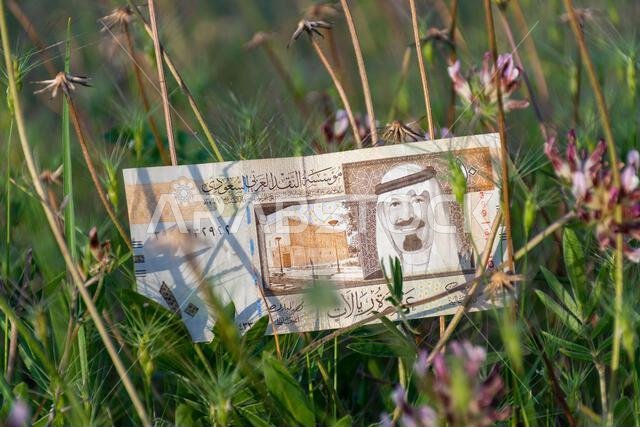 Saudi Arabian ten-riyal banknote lying on green spiky grass outdoors.