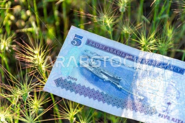 ورقة نقدية سعودية من فئة خمسة ريالات ملقاة على عشب أخضر شائك في الهواء الطلق.