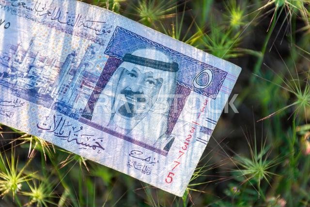 A Saudi Arabian five-riyal banknote lying on green spiky grass outdoors. A Saudi Arabian five-riyal banknote lying on green spiky grass outdoors.