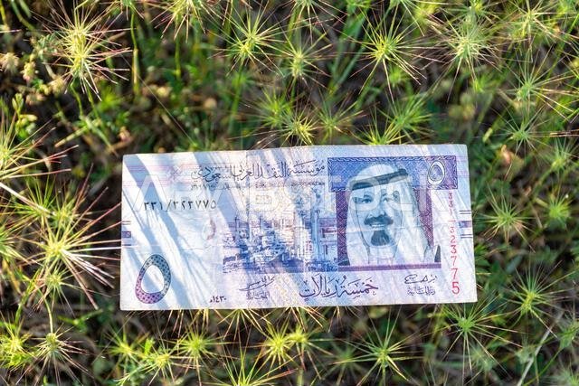 ورقة نقدية سعودية من فئة خمسة ريالات ملقاة على عشب أخضر شائك في الهواء الطلق.