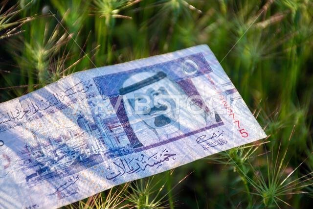 A Saudi Arabian five-riyal banknote lying on green spiky grass outdoors.