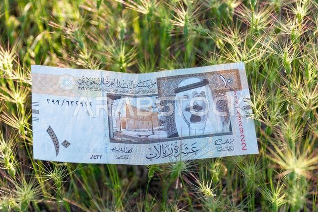 Saudi Arabian ten-riyal banknote lying on green spiky grass outdoors.