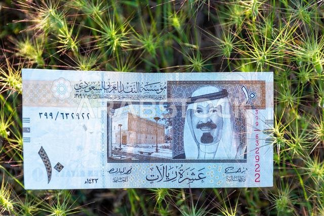 ورقة نقدية سعودية من فئة عشرة ريالات ملقاة على عشب أخضر شائك في الهواء الطلق.