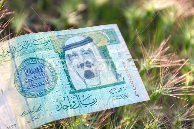 Saudi Arabian One Riyal banknote lying on green spiky grass outdoors.