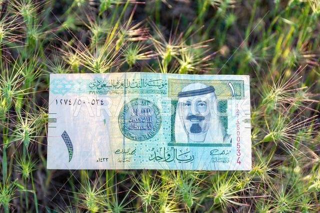 ورقة نقدية سعودية من فئة ريال واحد ملقاة على عشب أخضر شائك في الهواء الطلق.