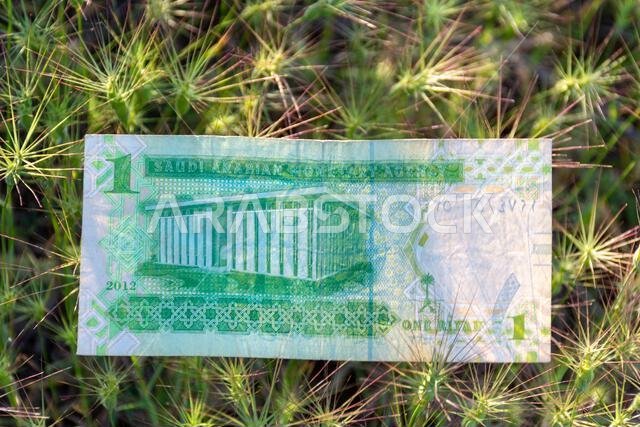 Saudi Arabian One Riyal banknote lying on green spiky grass outdoors.
